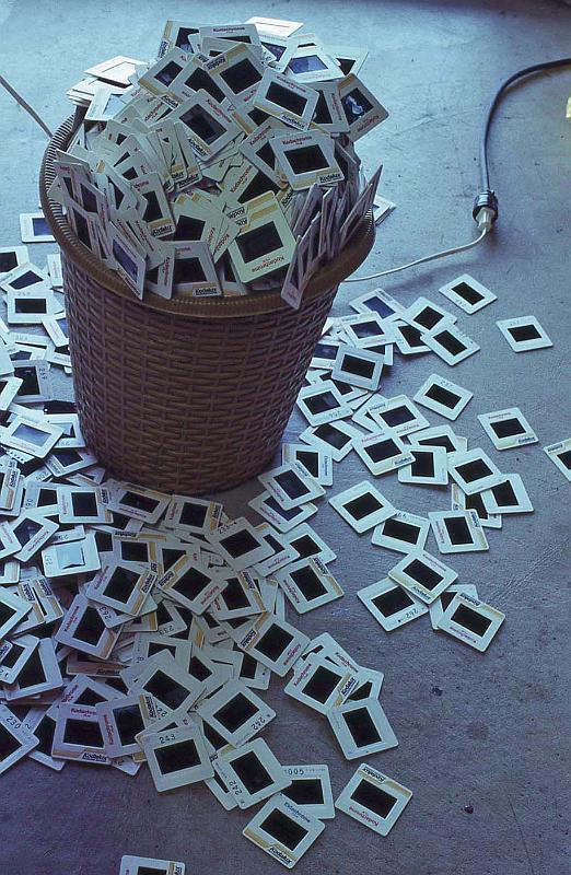 Traveling ID Card 035 Tossed Slides.jpg